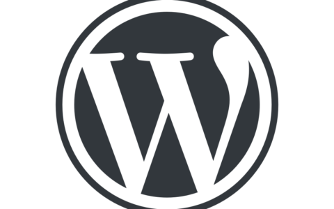 解决WordPress4.5以上版本伪静态后访问URL带中文跳转到404的问题？