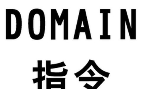 Domain(高级搜索指令)